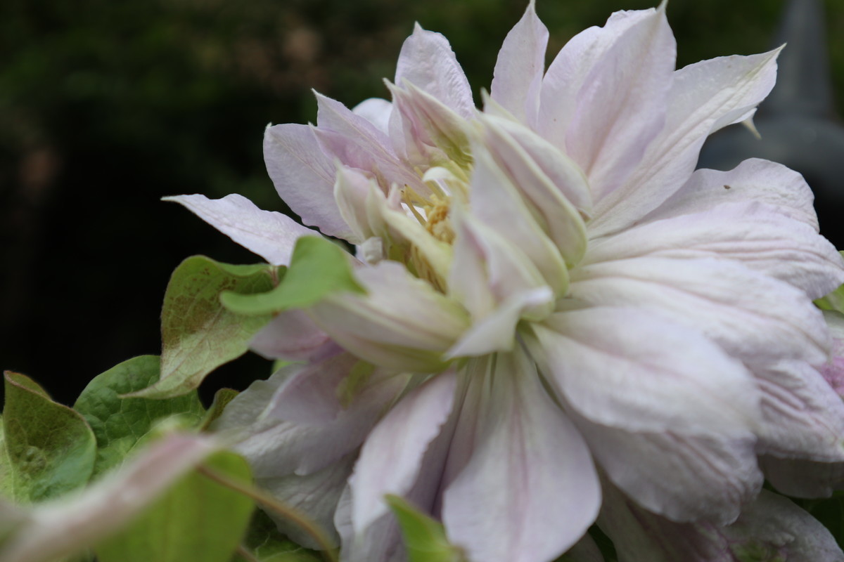 f:id:bluemoonbell:20190328154012j:plain