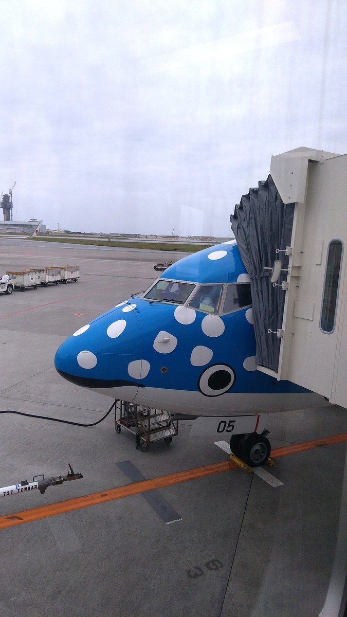 f:id:bluemoonbell:20190411141122j:image:w300:left f:id:bluemoonbell:20190411141122j:image:w300:left