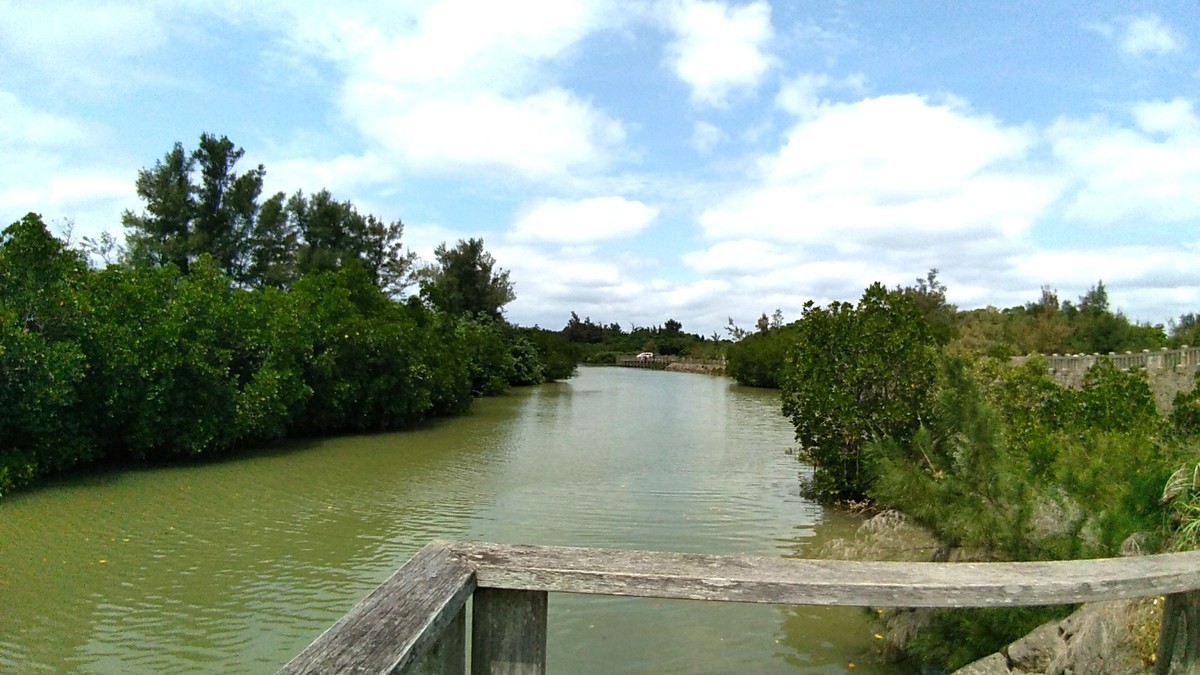 f:id:bluemoonbell:20190412122052j:plain