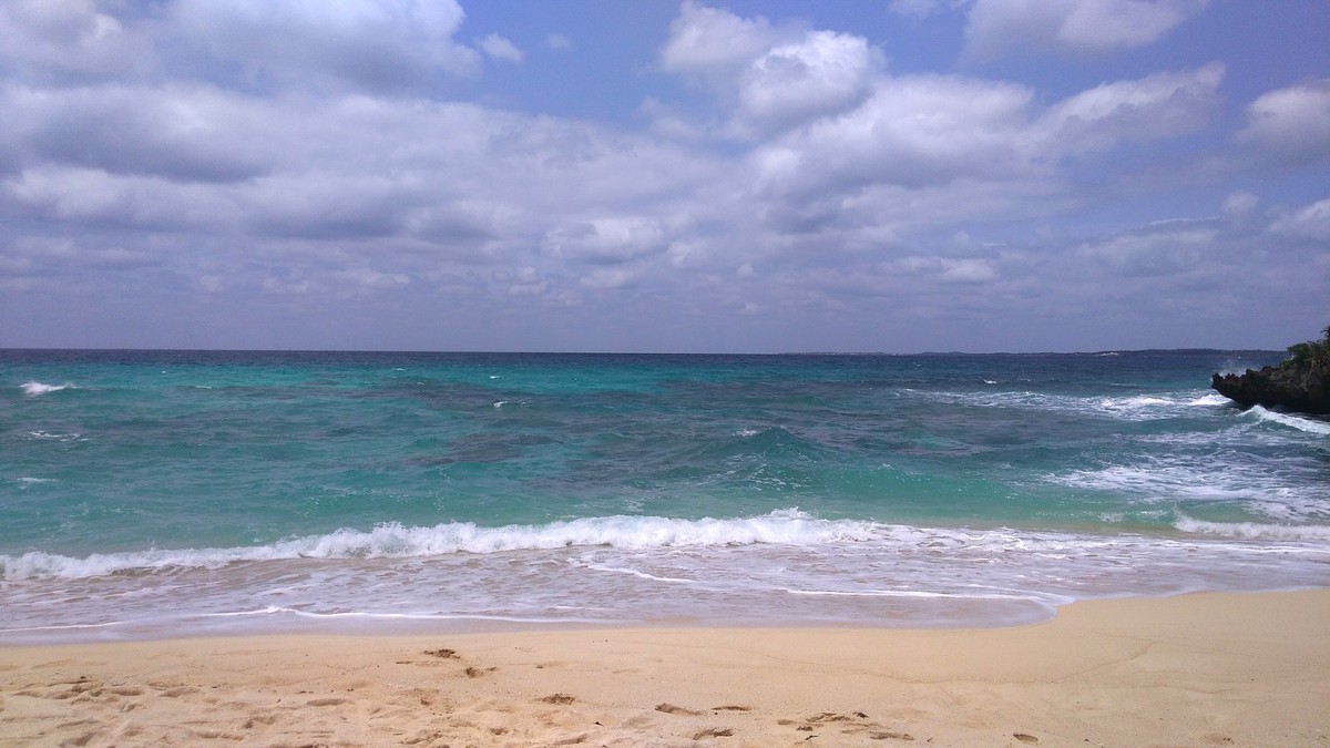 f:id:bluemoonbell:20190412130319j:plain f:id:bluemoonbell:20190412130319j:plain