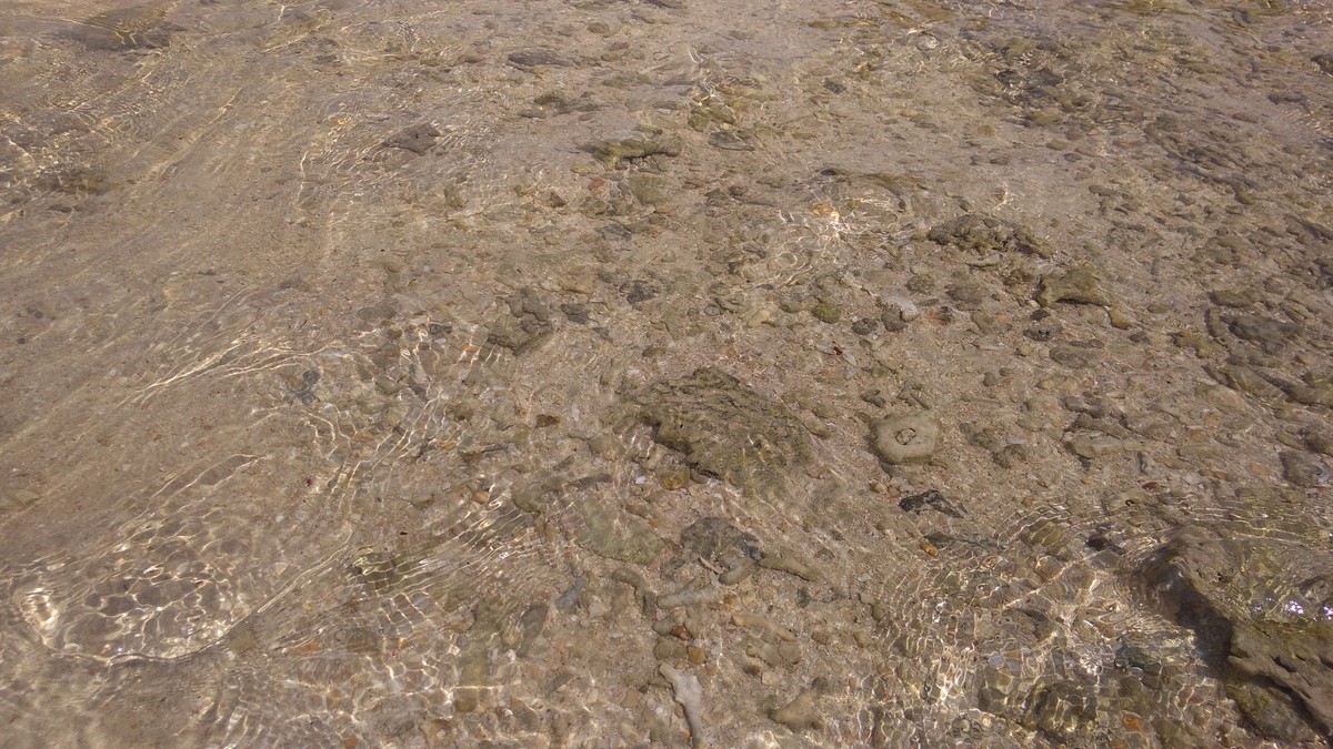 f:id:bluemoonbell:20190412143929j:plain