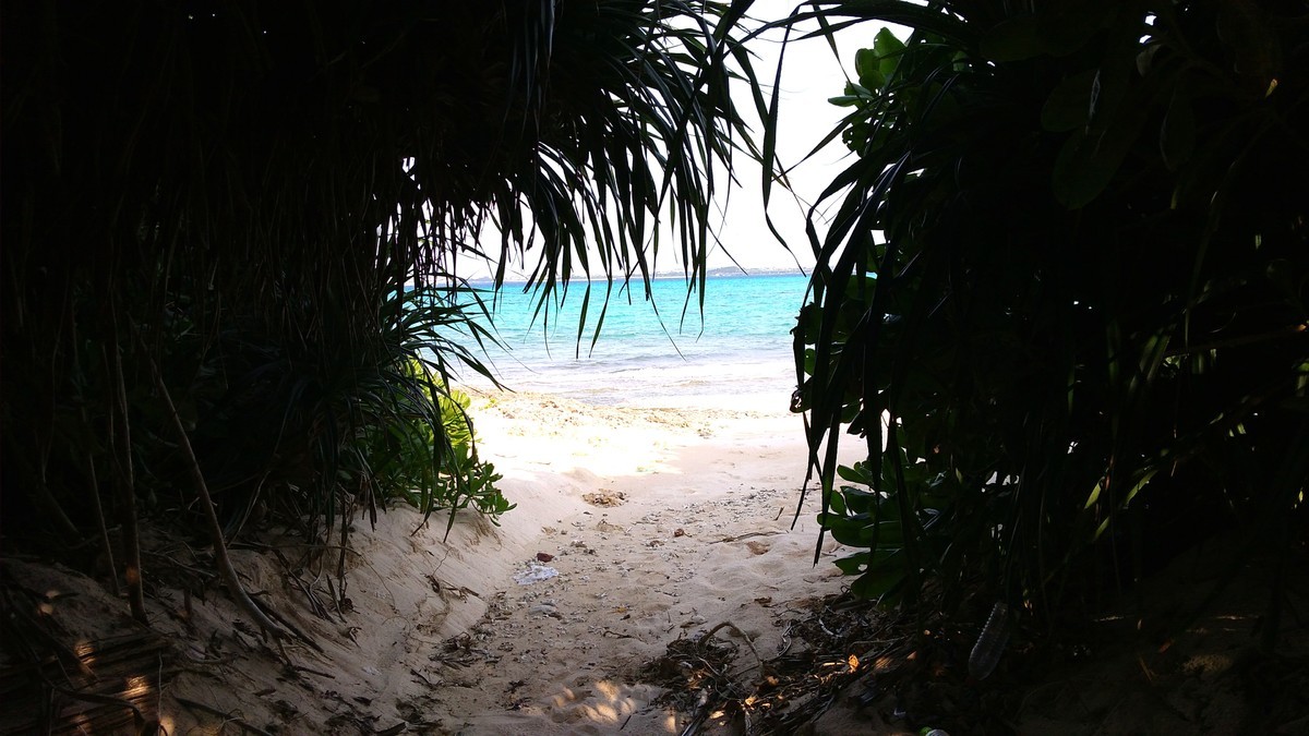 f:id:bluemoonbell:20190412162441j:plain f:id:bluemoonbell:20190412162441j:plain