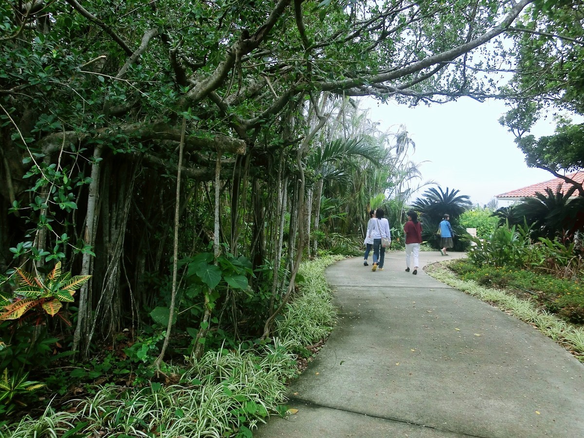 f:id:bluemoonbell:20190429081437j:plain