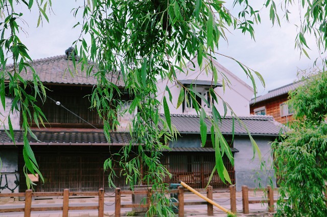 f:id:bluemoonbell:20190521104004j:image