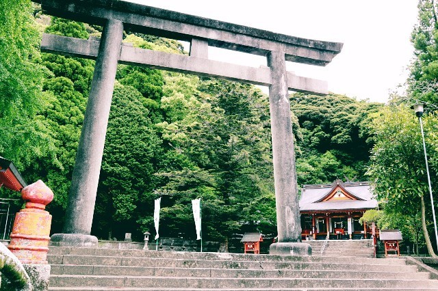 f:id:bluemoonbell:20190622141108j:image