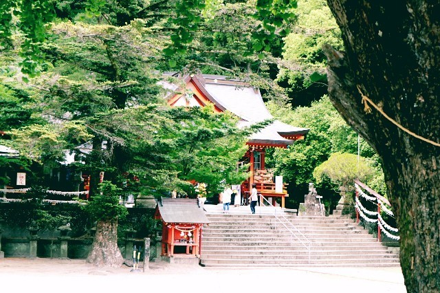 f:id:bluemoonbell:20190622141120j:image