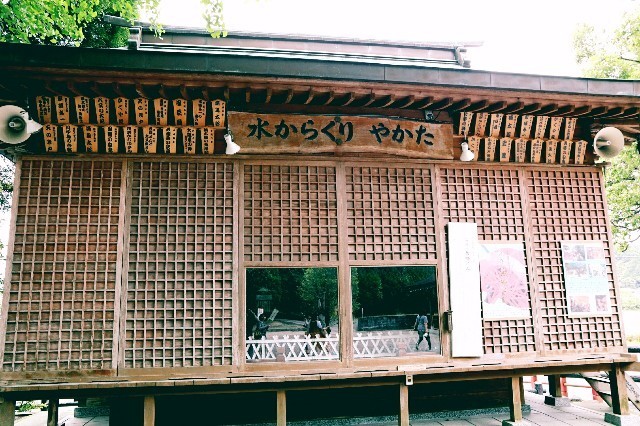 f:id:bluemoonbell:20190622141236j:image