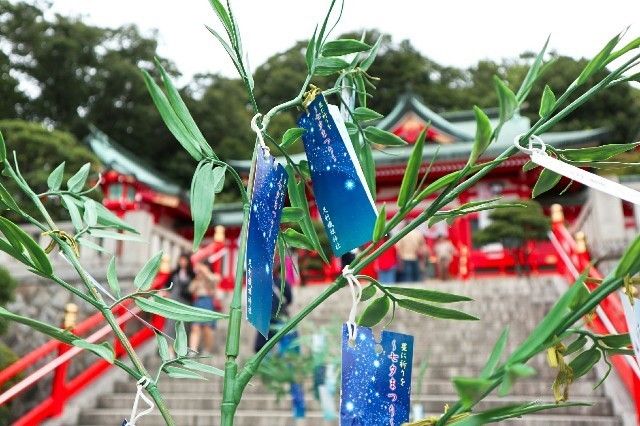 f:id:bluemoonbell:20190709140835j:image