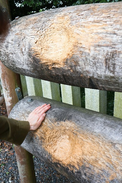 f:id:bluemoonbell:20190709140920j:image