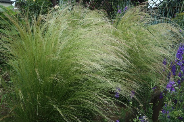 f:id:bluemoonbell:20190710075921j:image f:id:bluemoonbell:20190710075921j:image