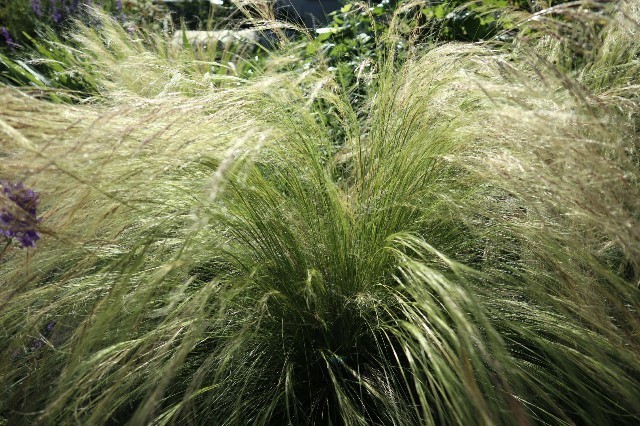 f:id:bluemoonbell:20190710080034j:image f:id:bluemoonbell:20190710080034j:image