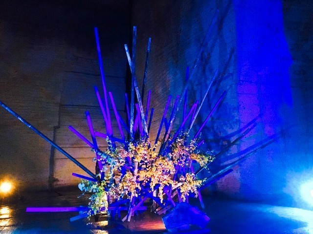 f:id:bluemoonbell:20190711112716j:image