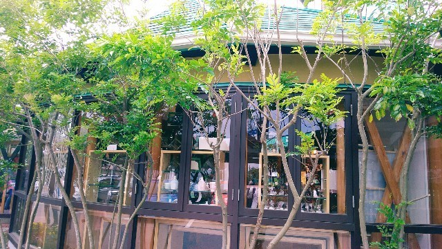 f:id:bluemoonbell:20190820092325j:image