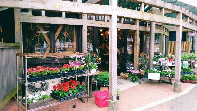 f:id:bluemoonbell:20190820092335j:image