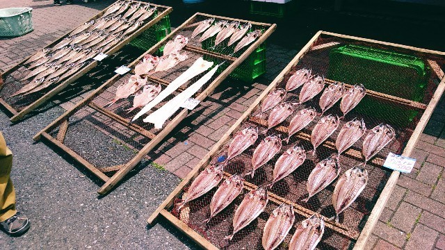 f:id:bluemoonbell:20190820092412j:image