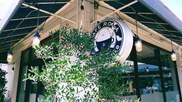 千葉 四街道にある素敵な カフェローマ ランチ 旅のresume