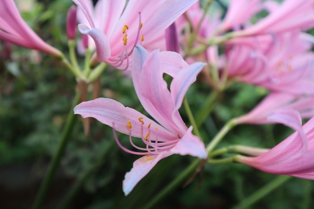 f:id:bluemoonbell:20190908171351j:image