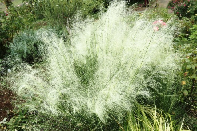 f:id:bluemoonbell:20191021161649j:image f:id:bluemoonbell:20191021161649j:image