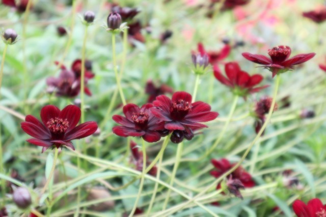 f:id:bluemoonbell:20191021161756j:image f:id:bluemoonbell:20191021161756j:image