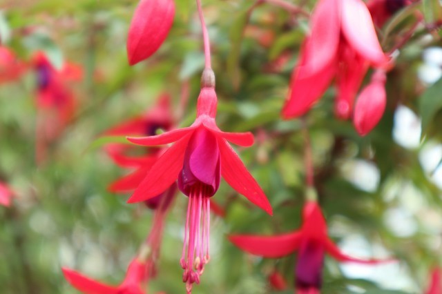 f:id:bluemoonbell:20191021161819j:image f:id:bluemoonbell:20191021161819j:image