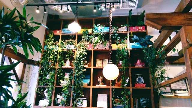 f:id:bluemoonbell:20191029174037j:image