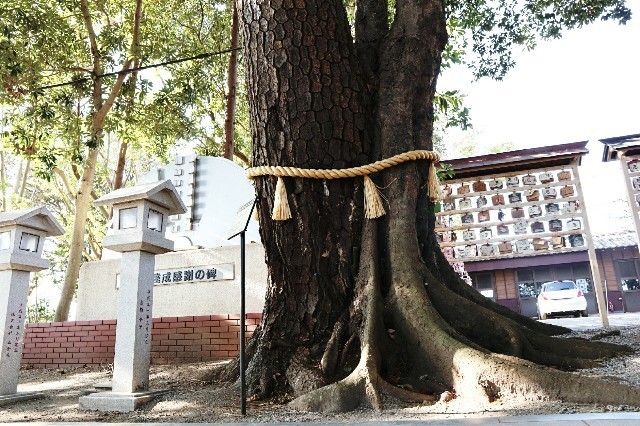 f:id:bluemoonbell:20191124102438j:image f:id:bluemoonbell:20191124102438j:image