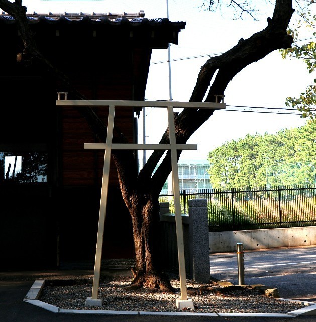 f:id:bluemoonbell:20191124102507j:image f:id:bluemoonbell:20191124102507j:image