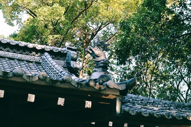 f:id:bluemoonbell:20191124102520j:image f:id:bluemoonbell:20191124102520j:image