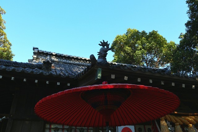 f:id:bluemoonbell:20191124102528j:image f:id:bluemoonbell:20191124102528j:image