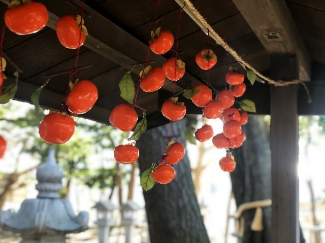 f:id:bluemoonbell:20191124102554j:image f:id:bluemoonbell:20191124102554j:image