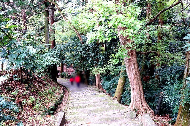 f:id:bluemoonbell:20191203090025j:image