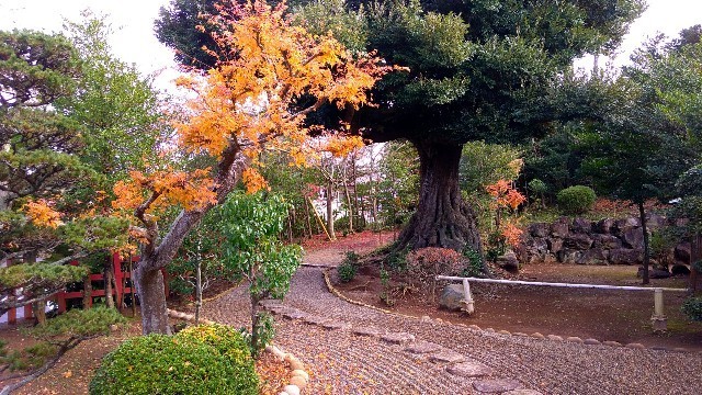 f:id:bluemoonbell:20191211101615j:image f:id:bluemoonbell:20191211101615j:image