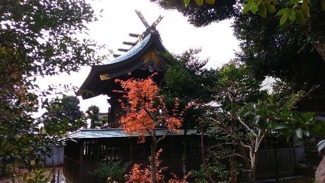 f:id:bluemoonbell:20191211101639j:image f:id:bluemoonbell:20191211101639j:image