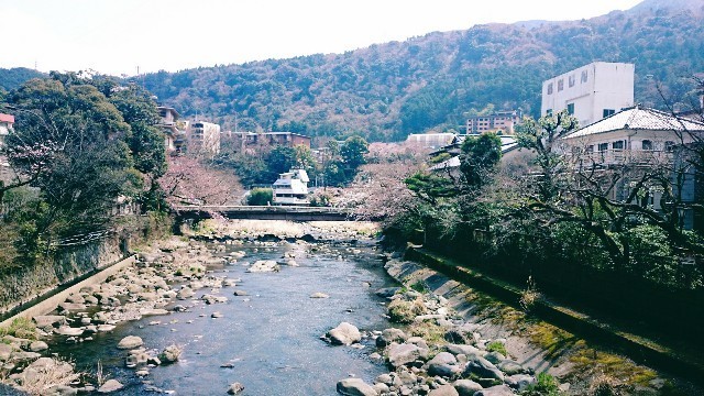 f:id:bluemoonbell:20191226084725j:image