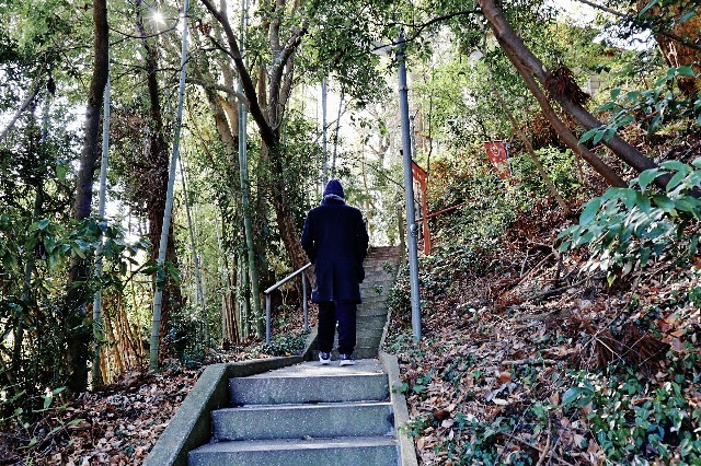 f:id:bluemoonbell:20200111102106j:image f:id:bluemoonbell:20200111102106j:image