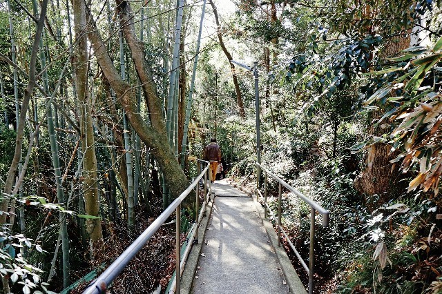 f:id:bluemoonbell:20200111102128j:image f:id:bluemoonbell:20200111102128j:image