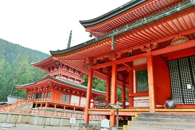 f:id:bluemoonbell:20200210103715j:image