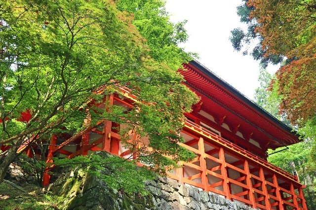 f:id:bluemoonbell:20200210130741j:image