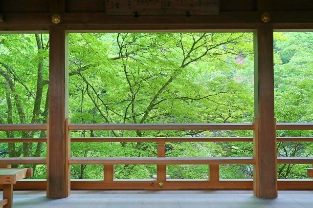 f:id:bluemoonbell:20200217082746j:image