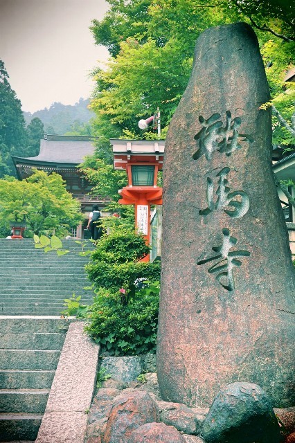 f:id:bluemoonbell:20200218211354j:image