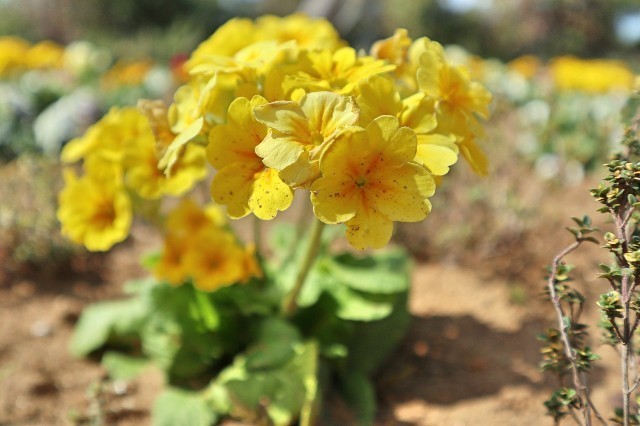 f:id:bluemoonbell:20200315092709j:image