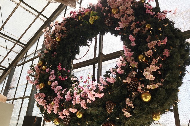 f:id:bluemoonbell:20200315092914j:image