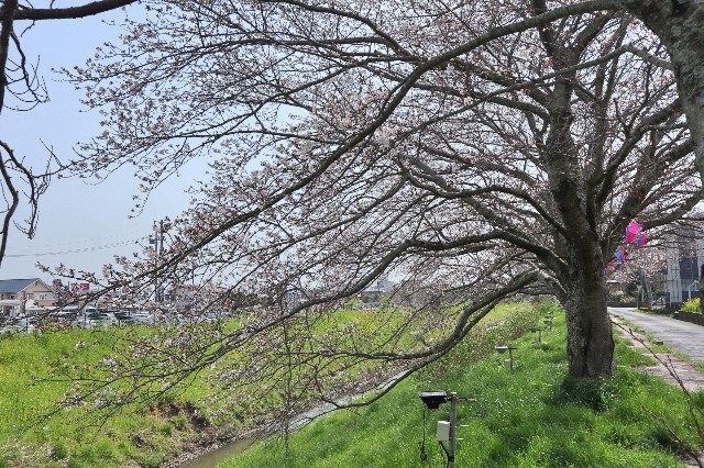 f:id:bluemoonbell:20200324163020j:image