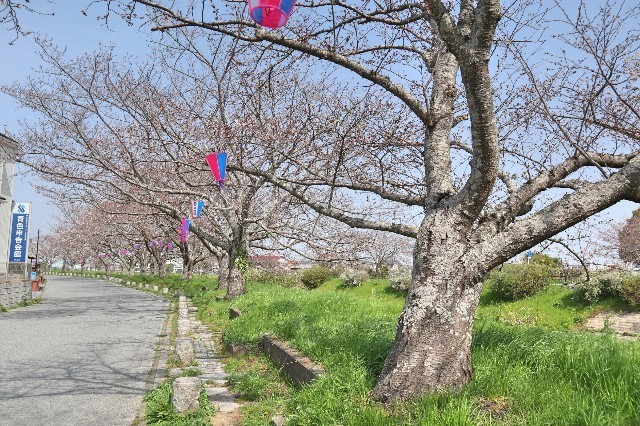 f:id:bluemoonbell:20200324163029j:image