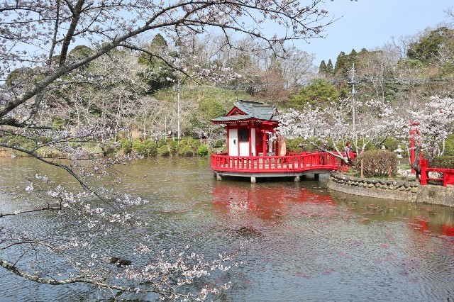 f:id:bluemoonbell:20200324171515j:image