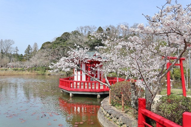 f:id:bluemoonbell:20200324171524j:image