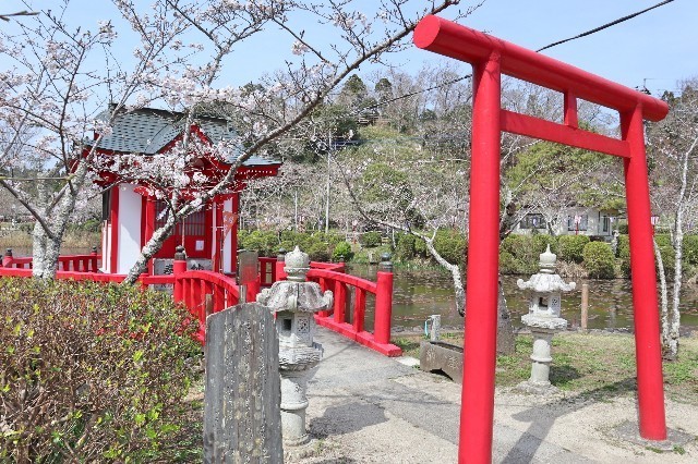 f:id:bluemoonbell:20200324171535j:image