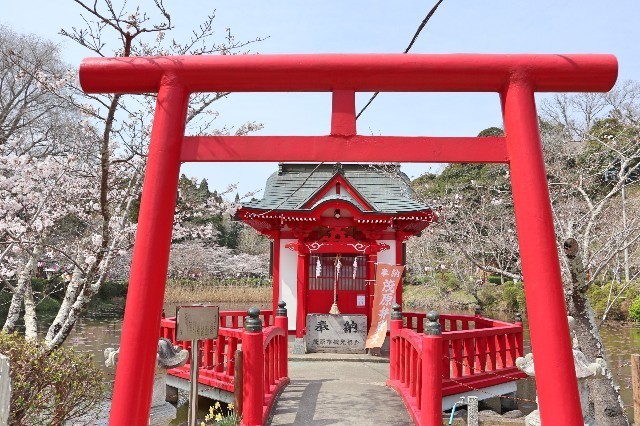 f:id:bluemoonbell:20200324171549j:image