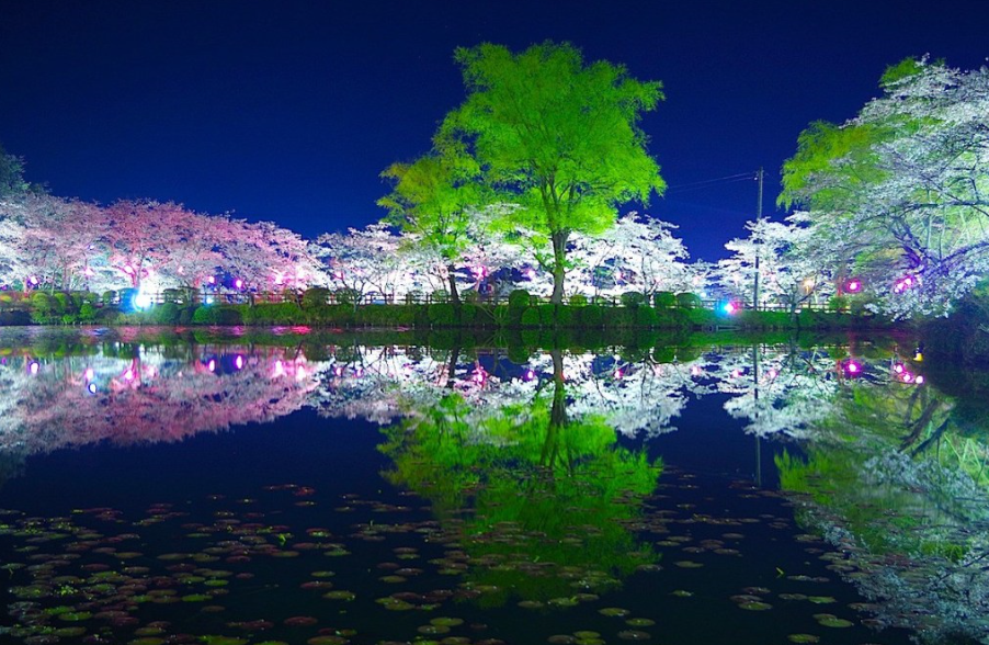 f:id:bluemoonbell:20200325115509p:plain