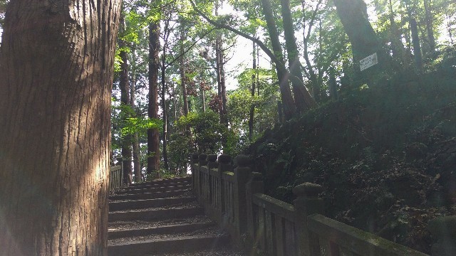 f:id:bluemoonbell:20200904161034j:image